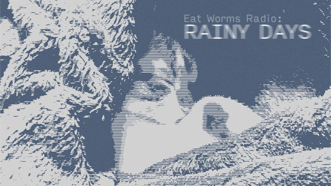 RAINY DAYS ON EAT WORMS RADIO